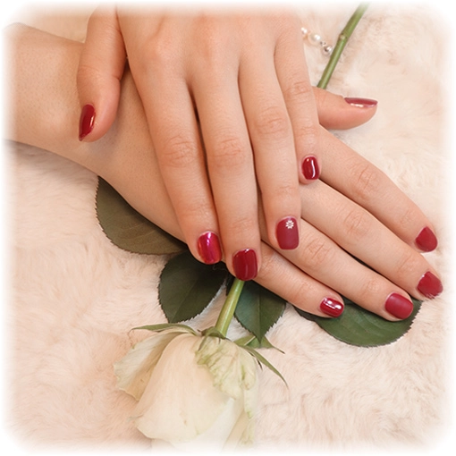 Maniküre • Gell-Lack French oder Farbe und aufhärten